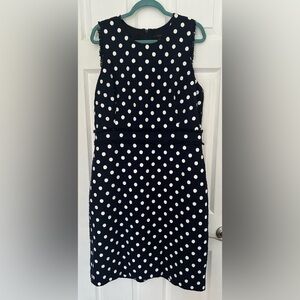 J. Crew Navy and White Polka Dot Textured Dress